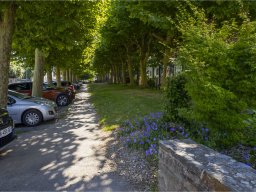 Allée place Yves Rocher